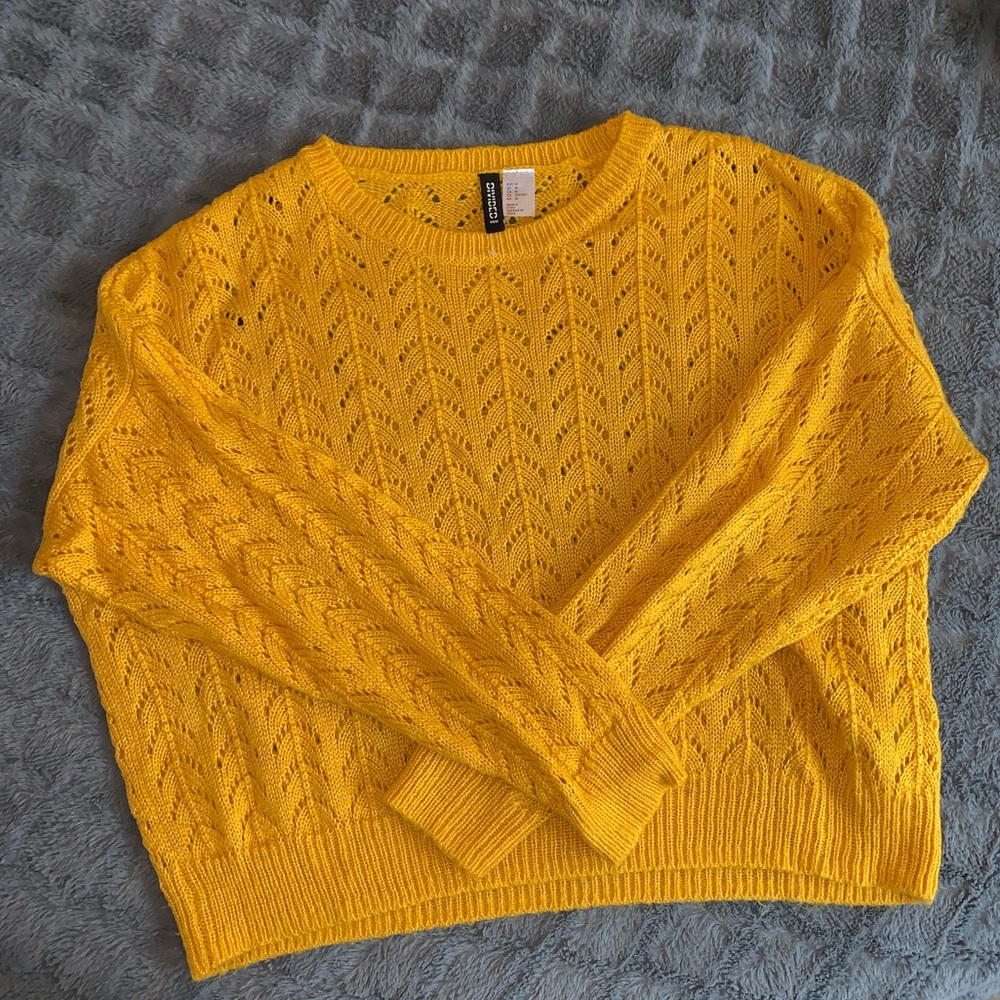 Divided H&M goldenrod crop sweater